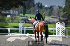 ref. photo 3558146