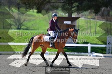 ref. photo 3558158