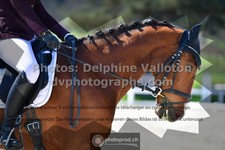 ref. photo 3558176