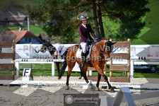 ref. photo 3558182
