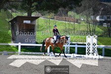 ref. photo 3558185