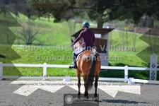 ref. photo 3558190