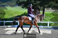 ref. photo 3558212