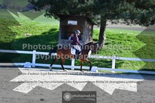 ref. photo 3558221
