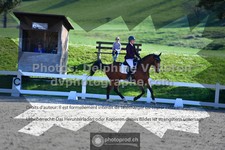 ref. photo 3558222