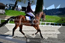ref. photo 3558227