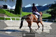 ref. photo 3558228