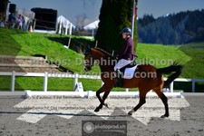 ref. photo 3558229