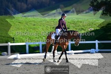 ref. photo 3558232