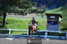 ref. photo 3558242