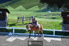 ref. photo 3558244