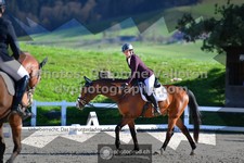 ref. photo 3558245