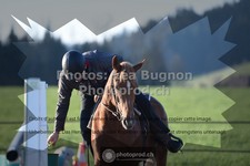 ref. photo 3558250