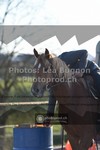 ref. photo 3558260