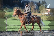 ref. photo 3558263