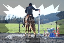 ref. photo 3558277