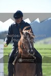 ref. photo 3558287