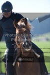 ref. photo 3558288