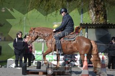 ref. photo 3558292