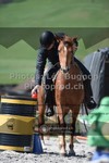 ref. photo 3558293