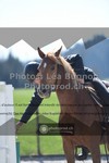 ref. photo 3558295