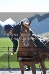 ref. photo 3558296