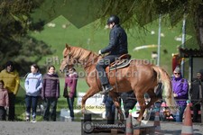 ref. photo 3558305