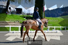 ref. photo 3558306