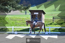 ref. photo 3558307