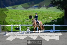 ref. photo 3558309