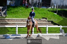 ref. photo 3558311