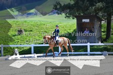 ref. photo 3558313