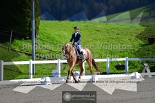 ref. photo 3558314
