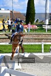 ref. photo 3558315