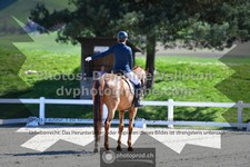 ref. photo 3558318