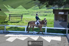 ref. photo 3558319