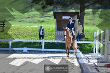 ref. photo 3558320