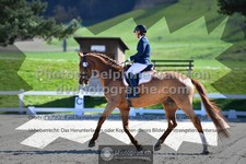 ref. photo 3558322