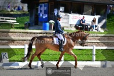 ref. photo 3558328