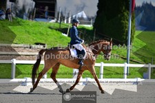 ref. photo 3558329