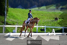 ref. photo 3558334