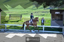 ref. photo 3558340