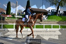 ref. photo 3558345