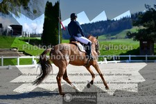ref. photo 3558346
