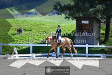 ref. photo 3558349