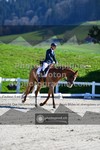 ref. photo 3558350