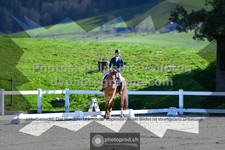 ref. photo 3558352