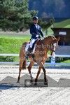 ref. photo 3558354