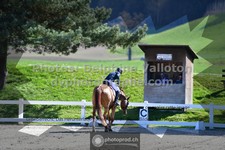 ref. photo 3558358