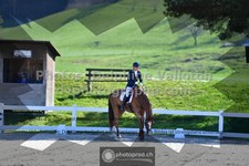 ref. photo 3558359